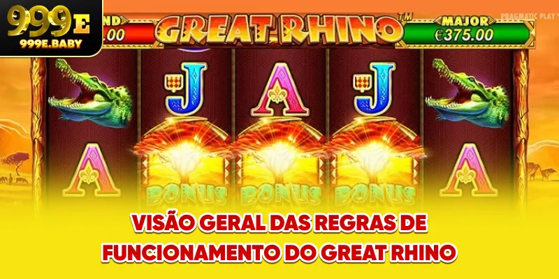 Visão geral das regras de funcionamento do Great Rhino